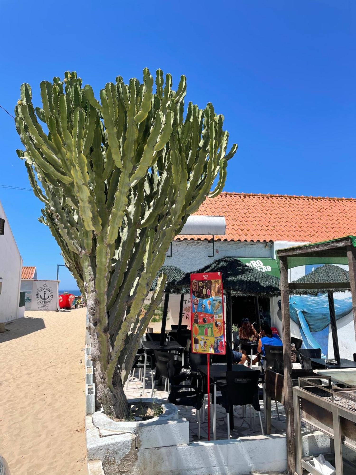 Sea View & Sundown, 150M From The Beach And Surf Spots Коста да Капарика Екстериор снимка